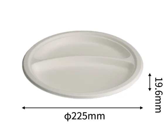 9” 2 Compartment Plate, DAILYECO product DBA95013