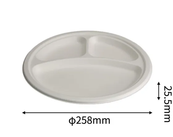9" 3 Compartment Plate (Big), DAILYECO product DBA95015