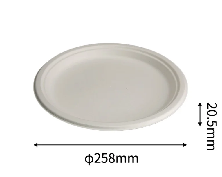 12" Plate, DAILYECO product DBA95022