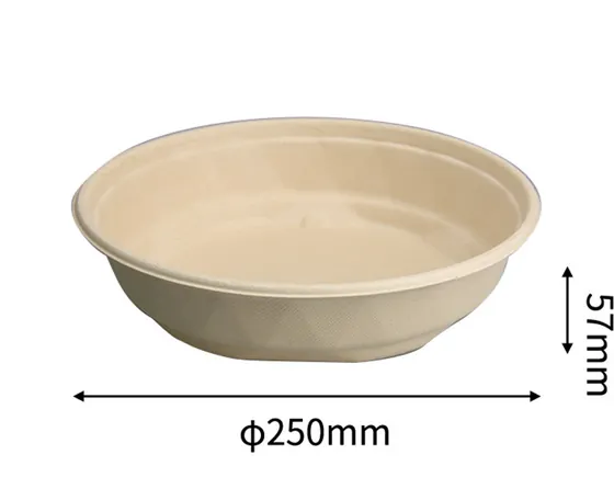 2000ml Bowl, DAILYECO product DBA95223