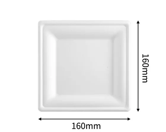 6” Square Plate, DAILYECO product DBA95029