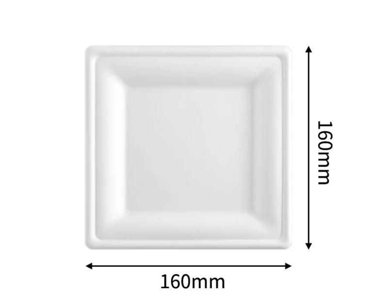 6” Square Plate, DAILYECO product DBA95029