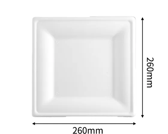 10” Square Plate, DAILYECO product DBA95031