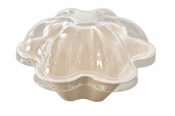 PET Lid for Ice Cream Bowl, DAILYECO product DBA95326