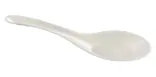 Chinese Spoon, DAILYECO product DBA95330
