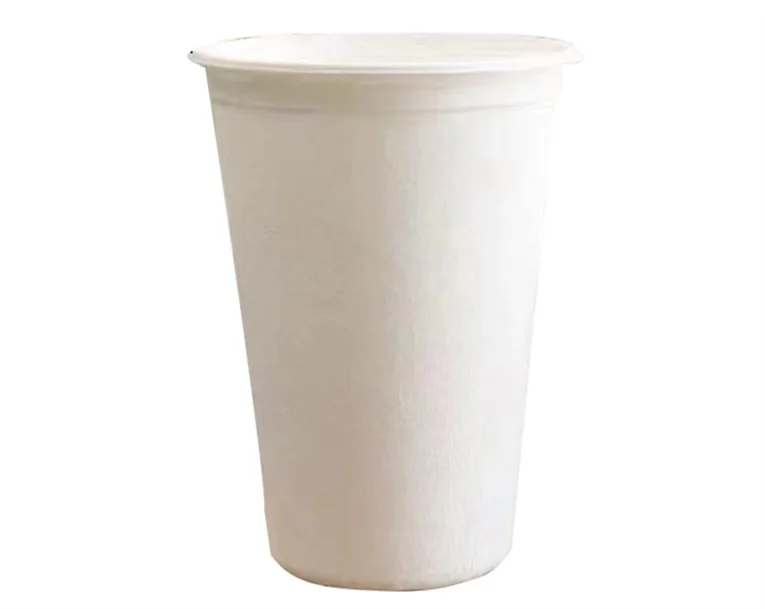 16oz Cup, DAILYECO product DBA95341
