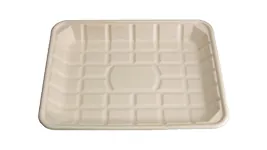 12“*9” Tray, DAILYECO product DBA95039