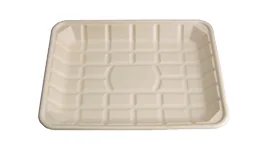 12“*9” Tray, DAILYECO product DBA95039