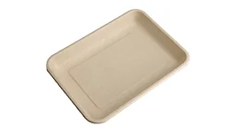 9“*6” Tray, DAILYECO product DBA95049