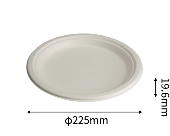 9” Plate, DAILYECO product DBA95009