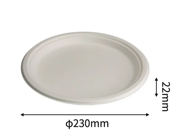 9” Large Plate, DAILYECO product DBA95011
